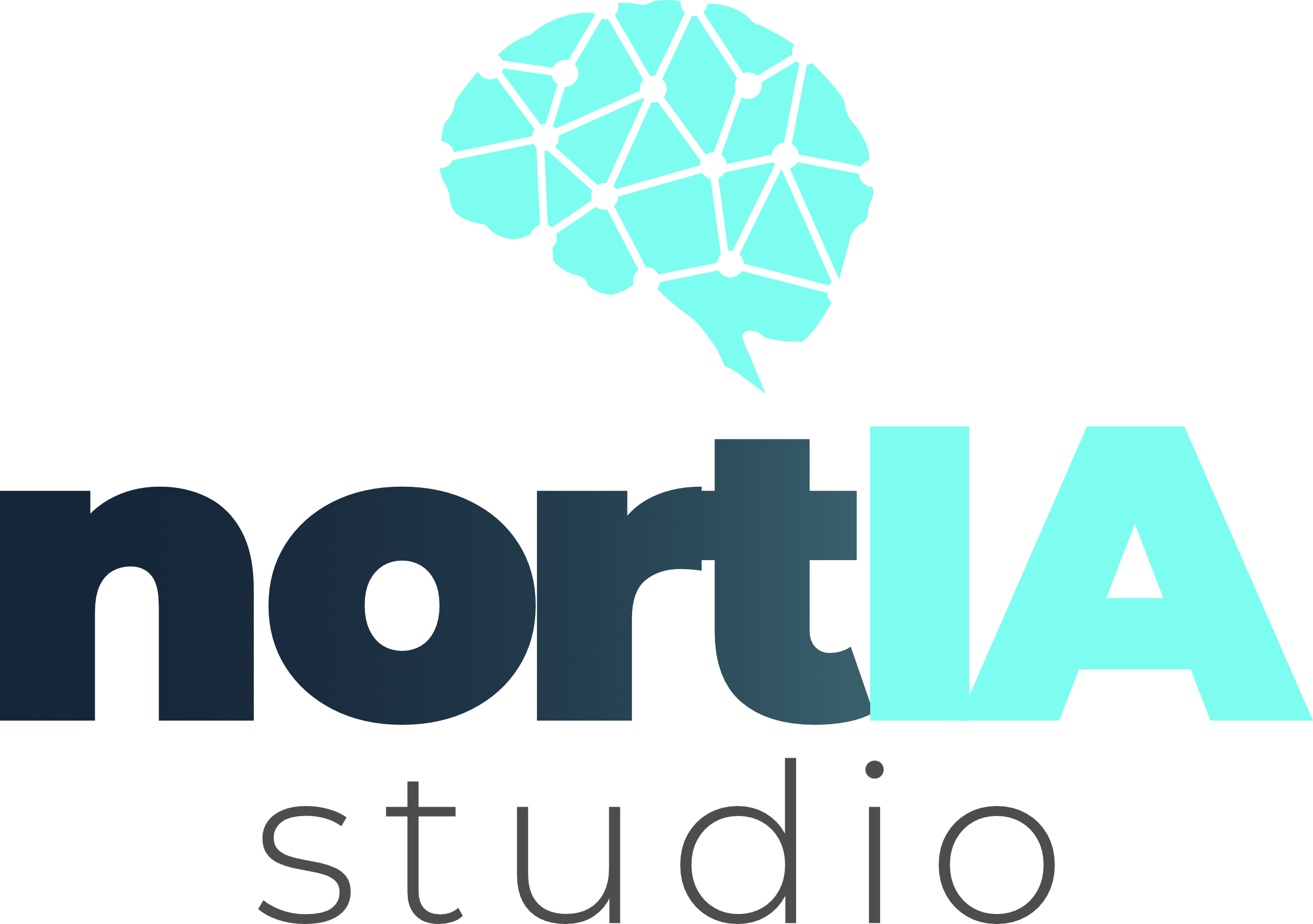 NortIA Studio Logo